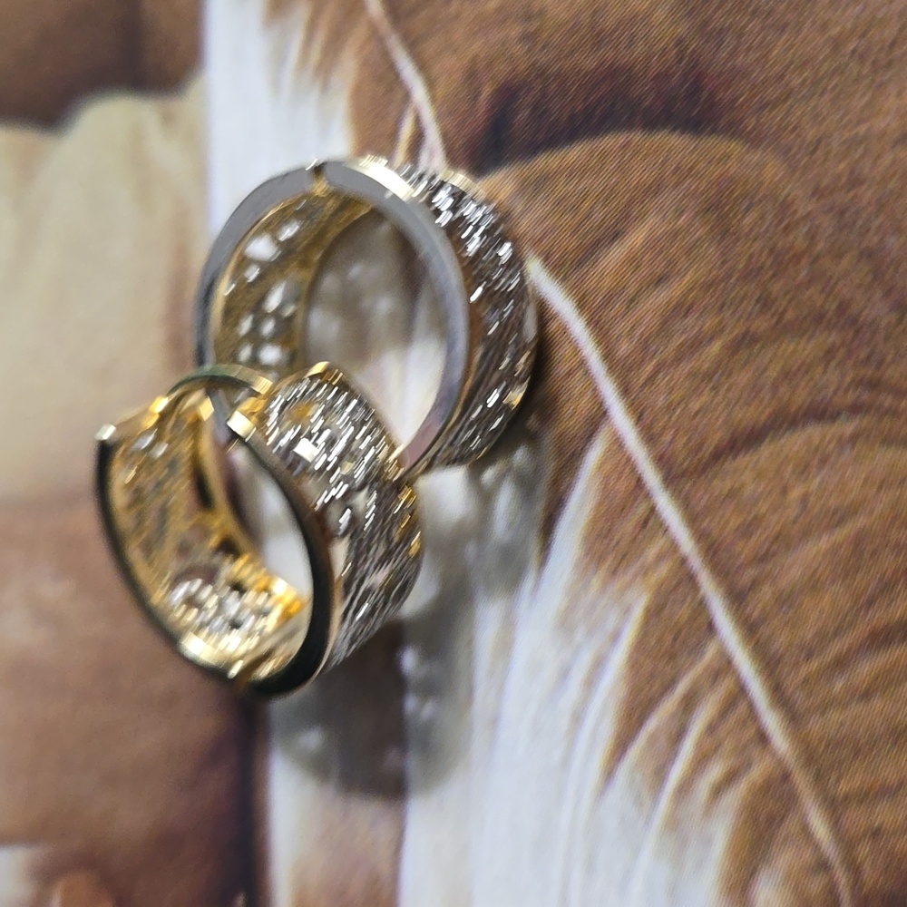Earrings #134254